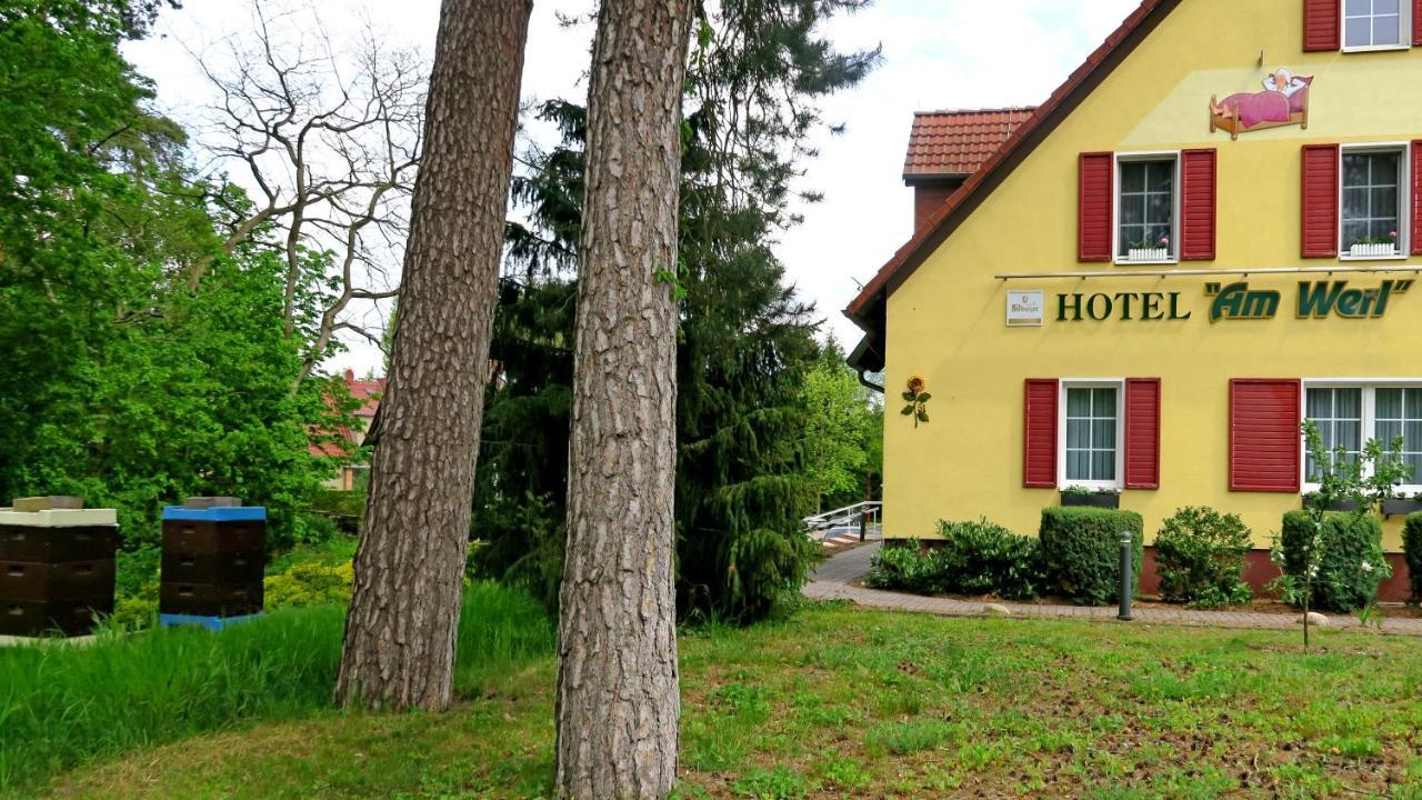 באד סארואו Hotel "Am Werl" מראה חיצוני תמונה